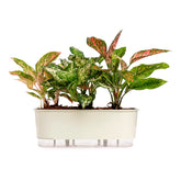 Jardineira Autoirrigável 40cm x 16cm - Terrazzo Calcário