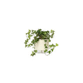Vaso Autoirrigável Grande N04 21cm x 19cm - Terrazzo Calcário