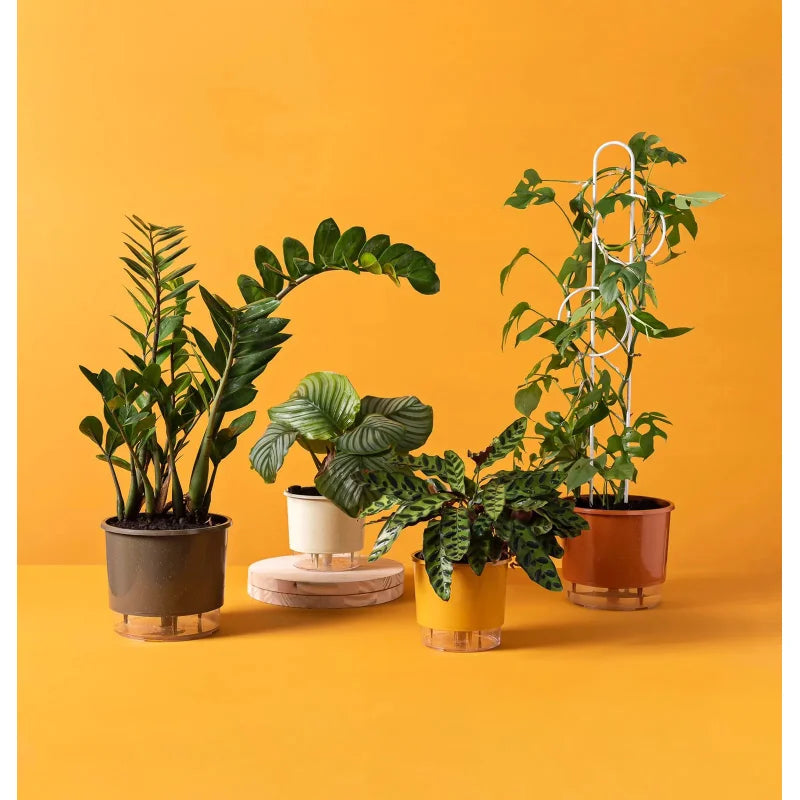 Vaso Autoirrigável Grande N04 21cm x 19cm - Terrazzo Terracota