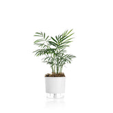 Vaso Autoirrigável Pequeno N02 12,6cm x 11,4 - Cores Clássicas Branco