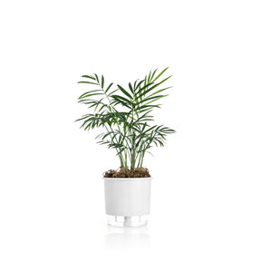 Vaso Autoirrigável Pequeno N02 12,6cm x 11,4 - Cores Clássicas Branco